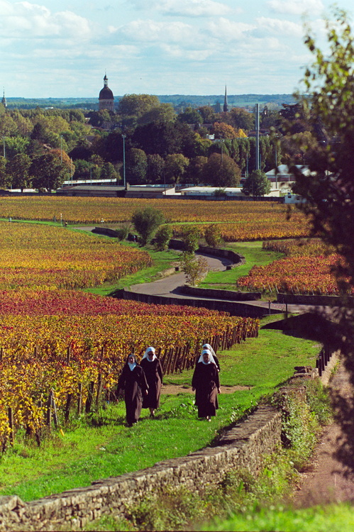 Sœurs dans les vignes