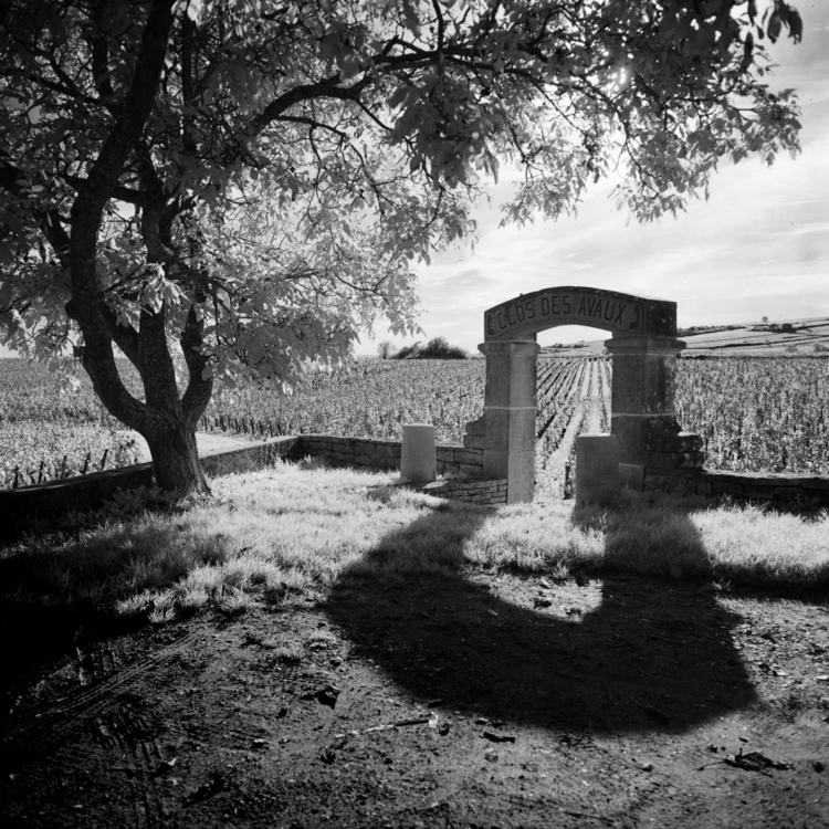 Clos des Avaux