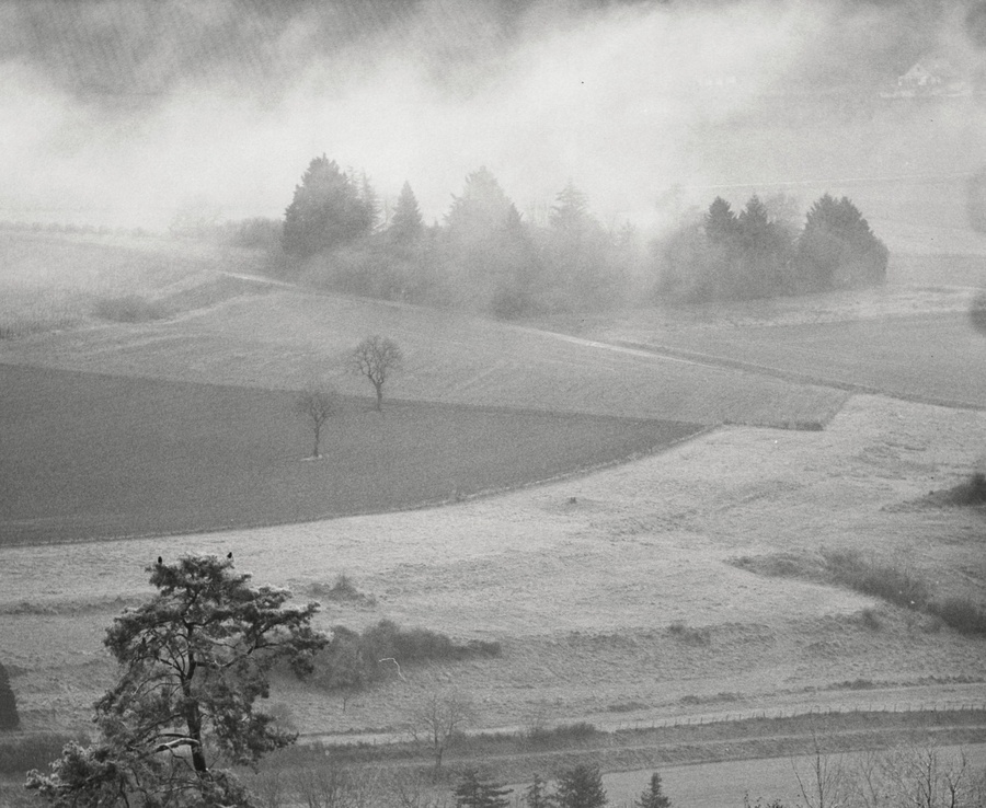 Curtil-Vergy