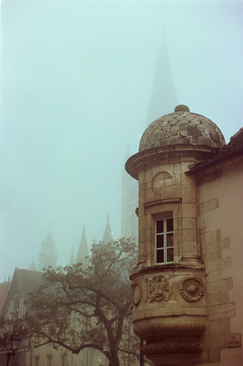 Dijon