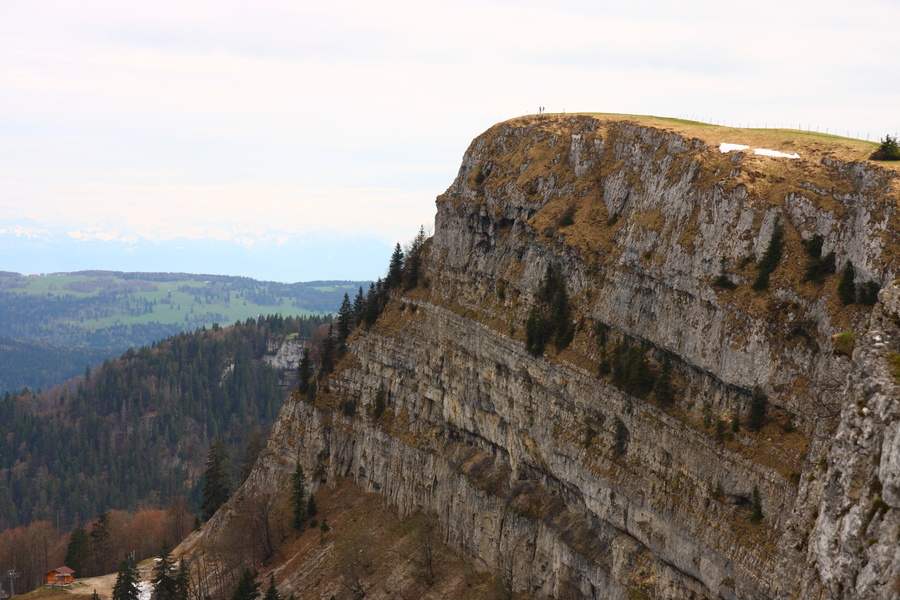 Mont d'Or