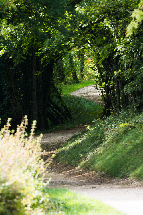 Chemin