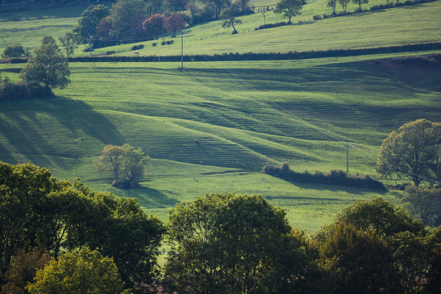 Collines