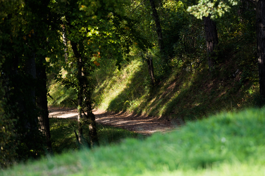 Chemin