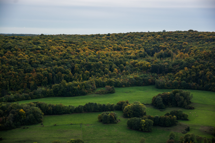 Vallée