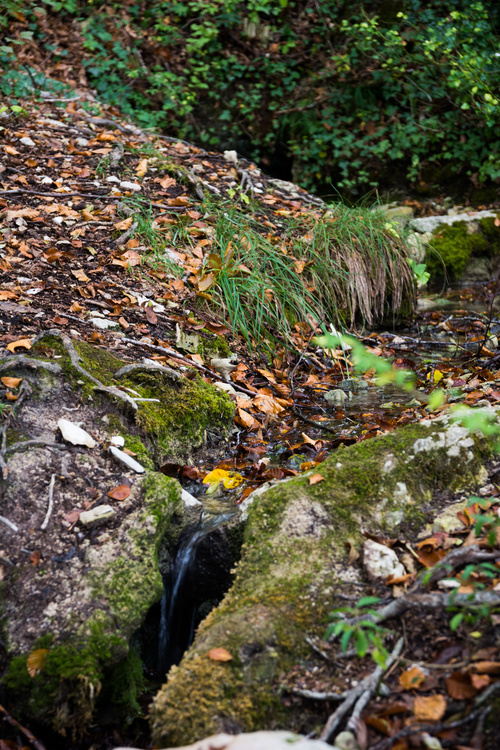 Source de Layé