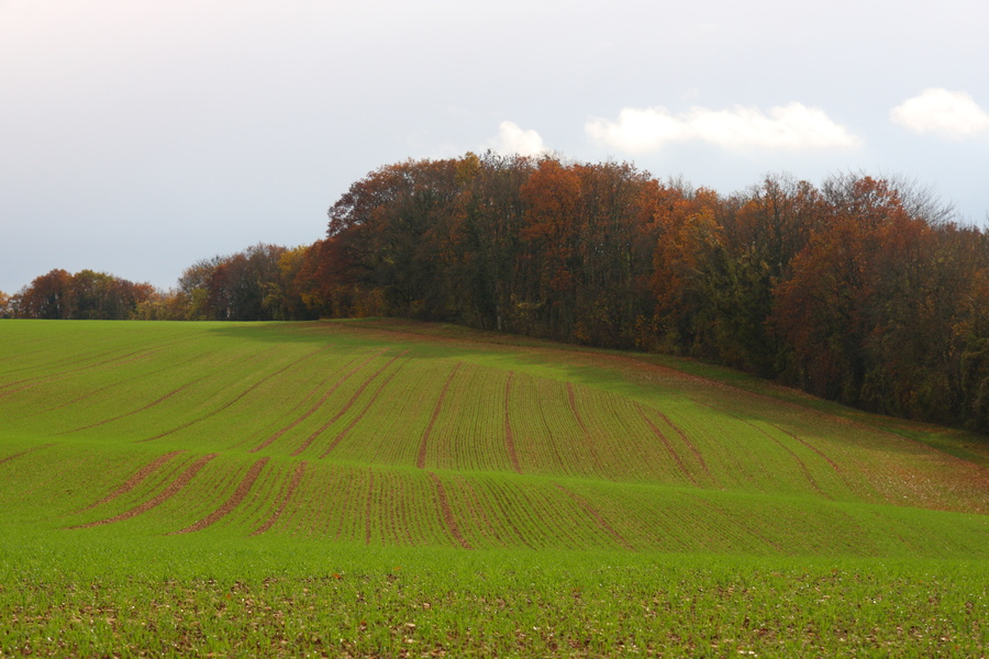 Couleurs d'automne