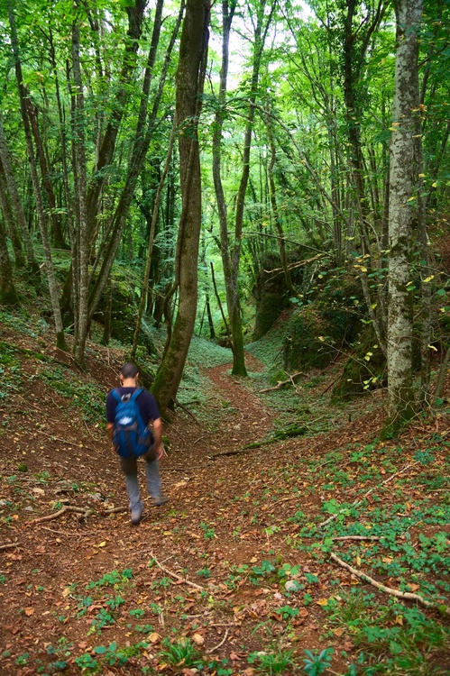 Descente