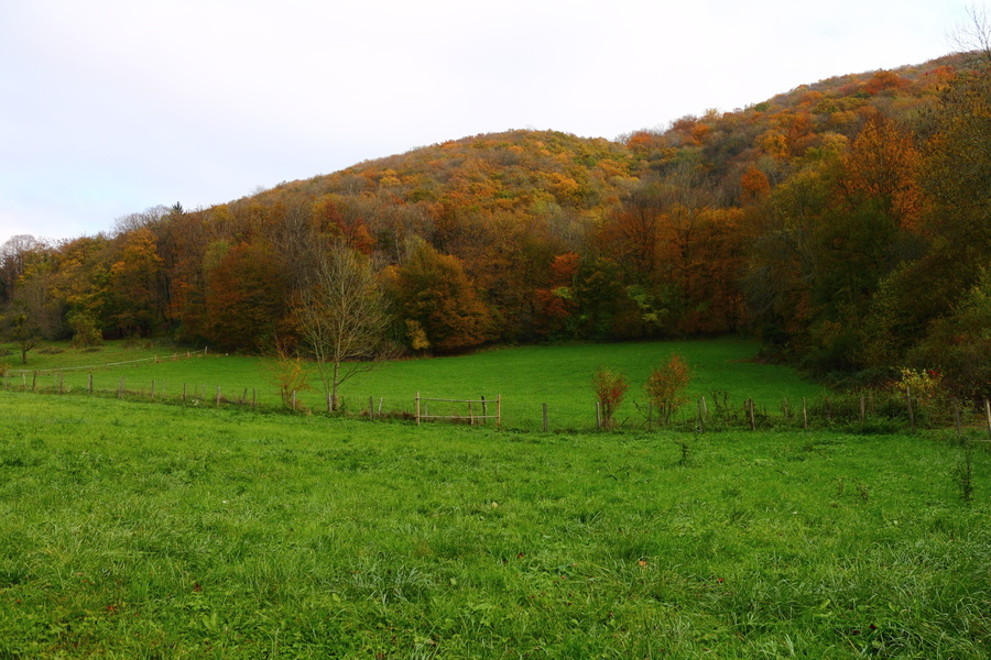 Couleurs d'automne
