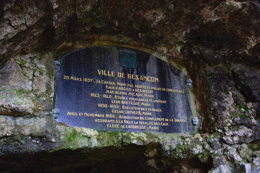 Plaque