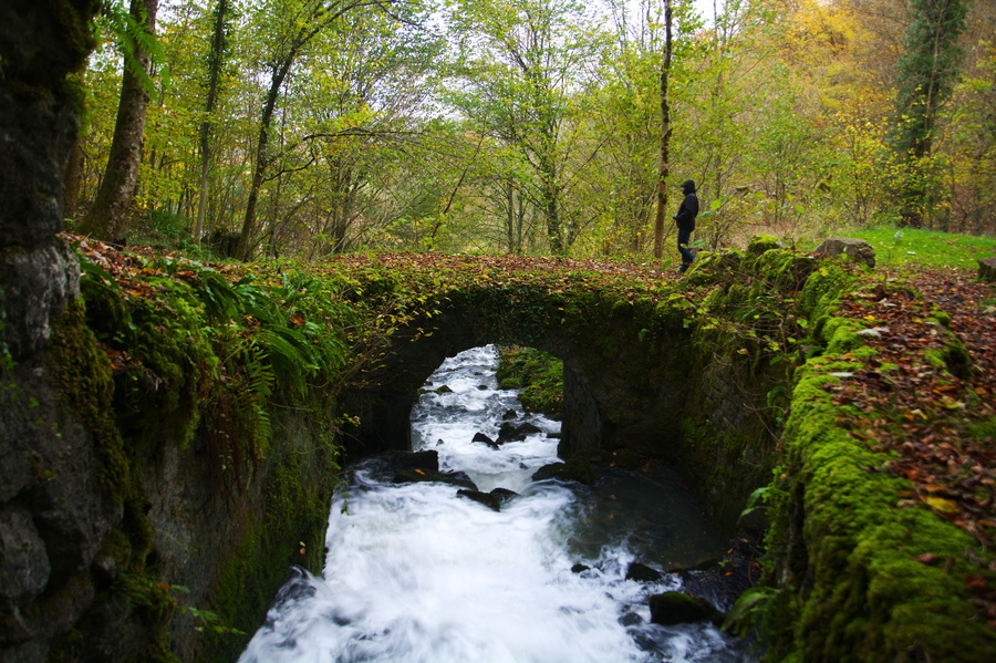 Pont