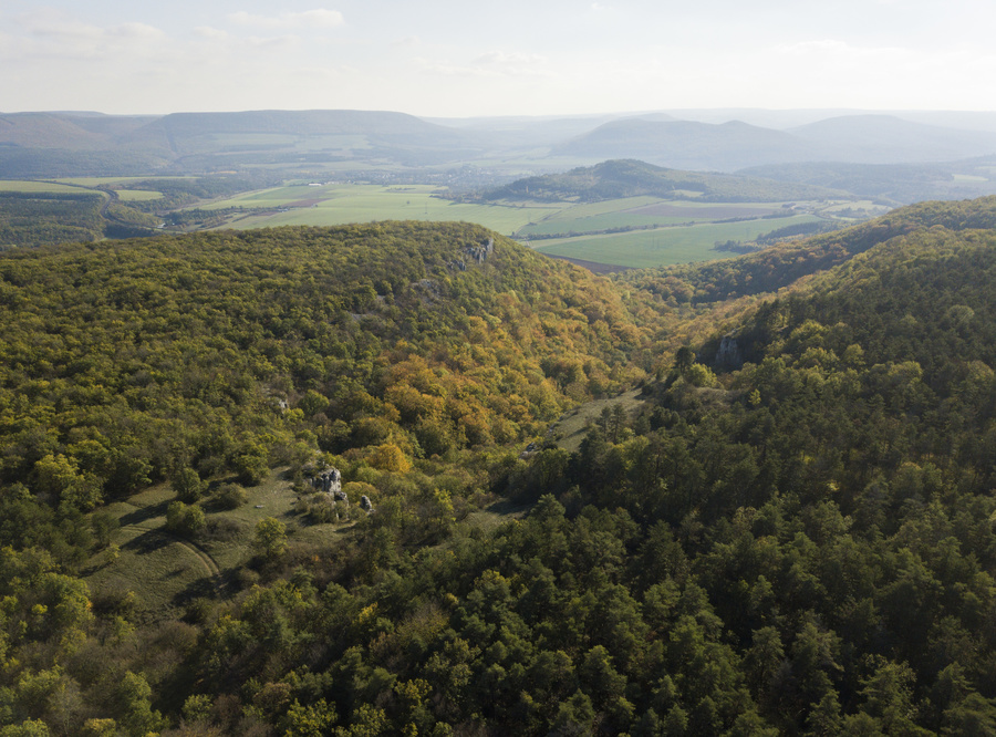 Combe aux mammouths