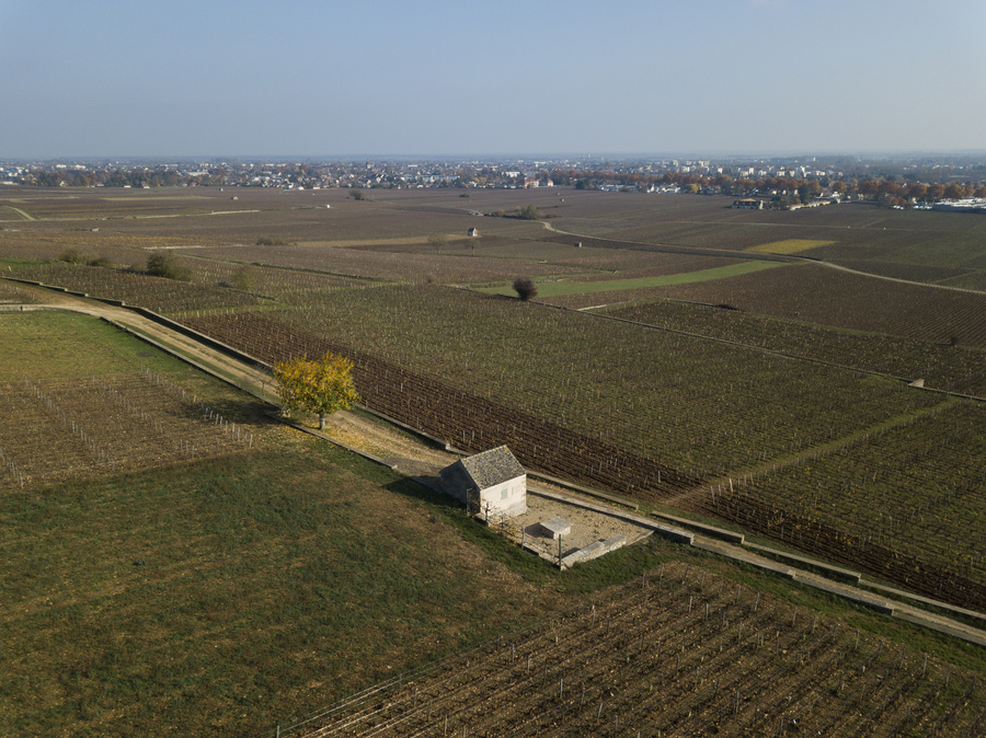 Clos des Mouches