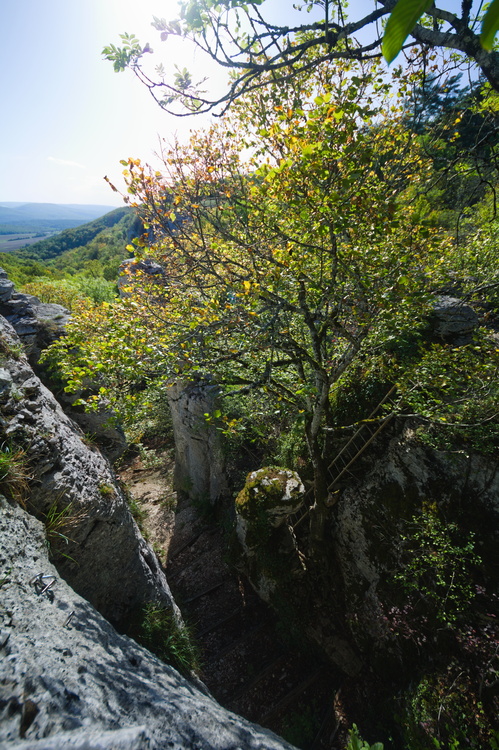 Combe aux Mammouths