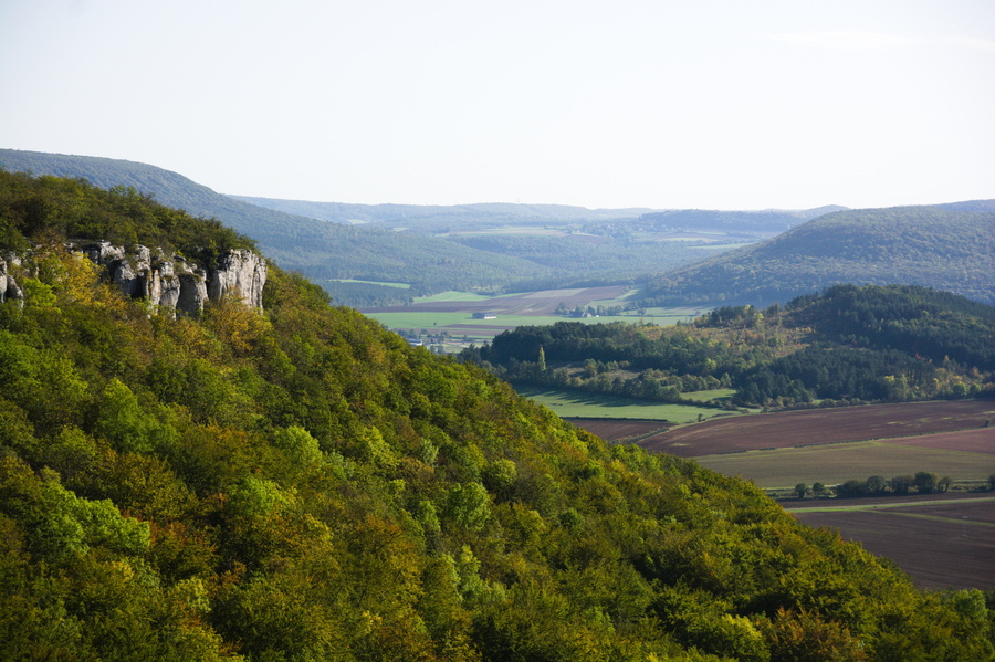 Combe aux Mammouths