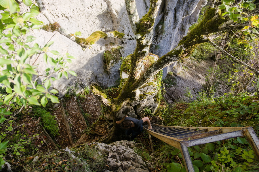 Combe aux Mammouths