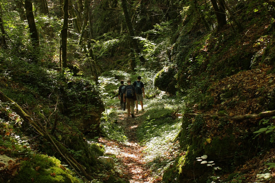 Combe d'Orveaux