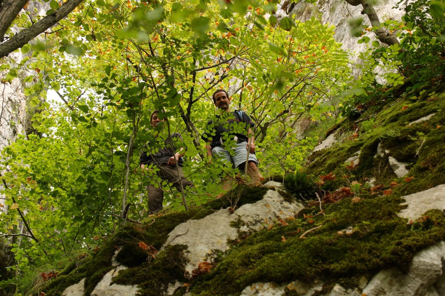 Mais qui se cache là-haut ?