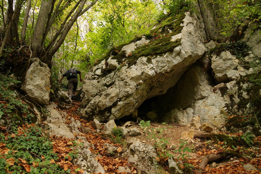 Montée