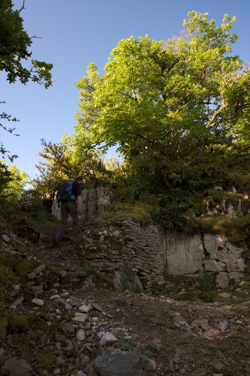 Sur la crête