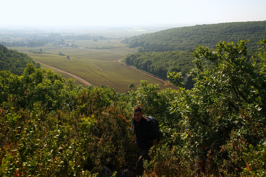 Combe Roland