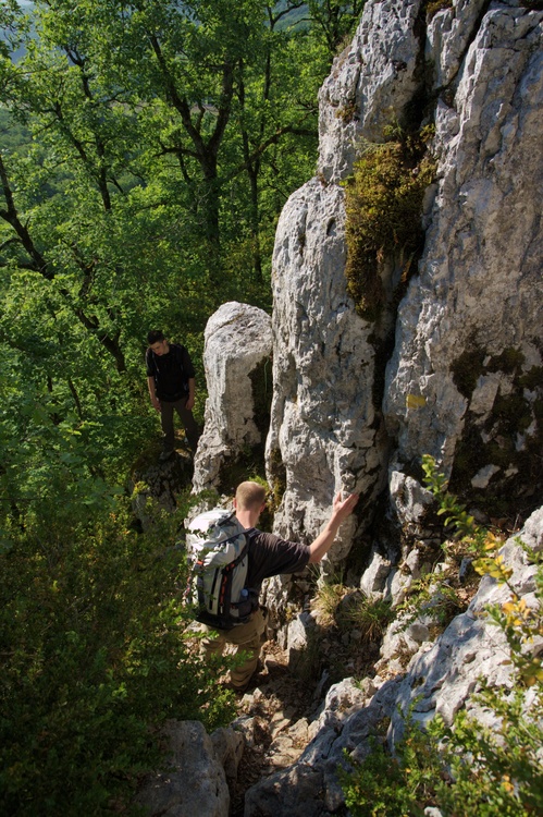 Descente