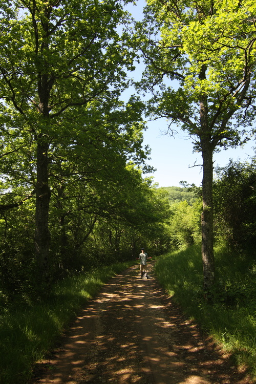 Chemin