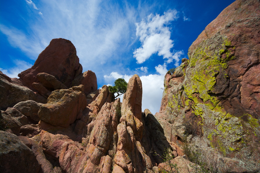 Red Rocks