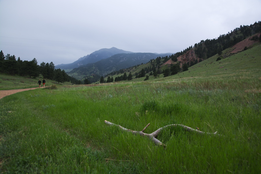 Mont Sanitas