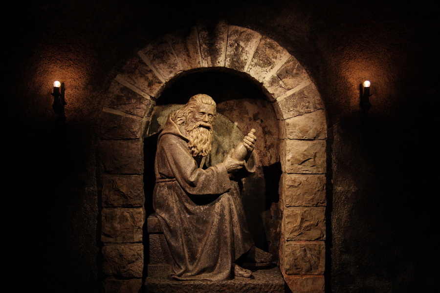 Le maître des lieux