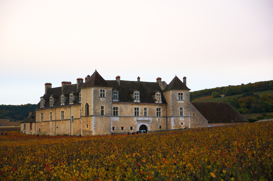 Clos de Vougeot