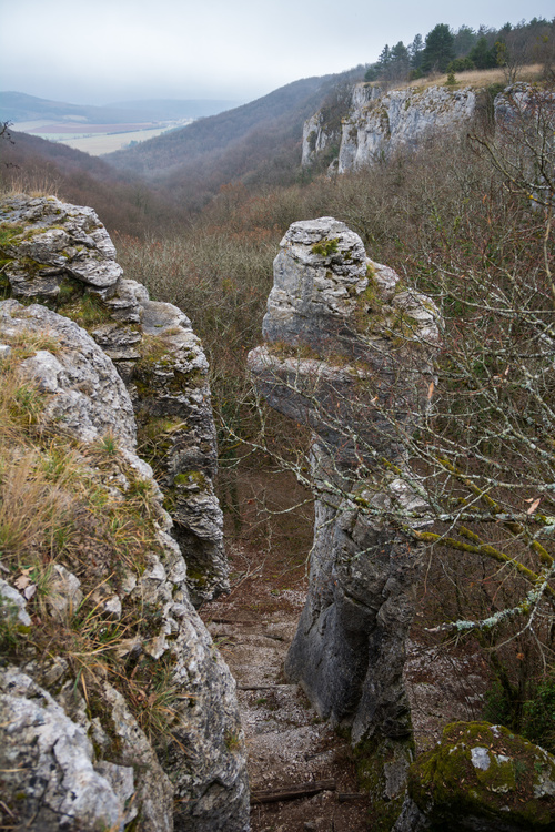 Combe aux mammouths