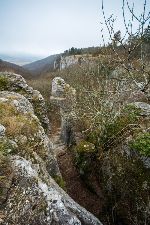 Combe aux mammouths