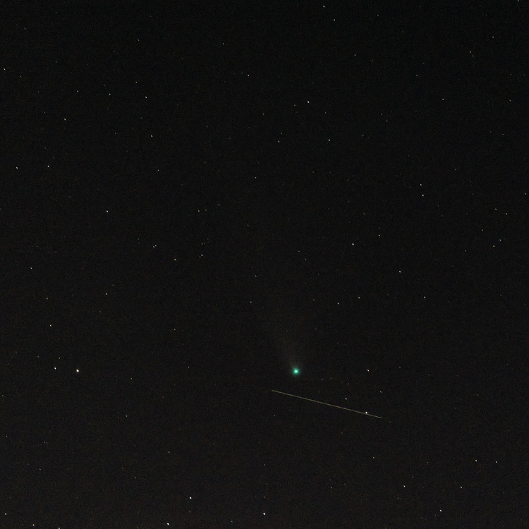 Neowise