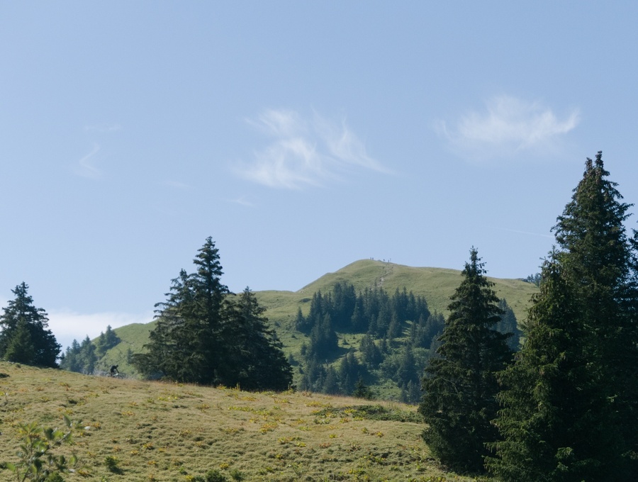 Montrond