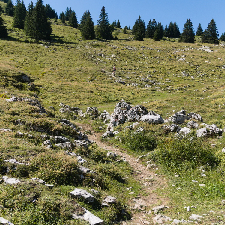 Montrond