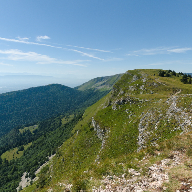 Montrond