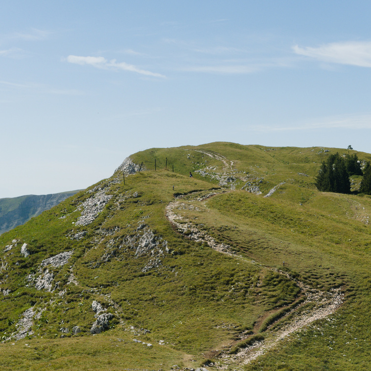 Montrond
