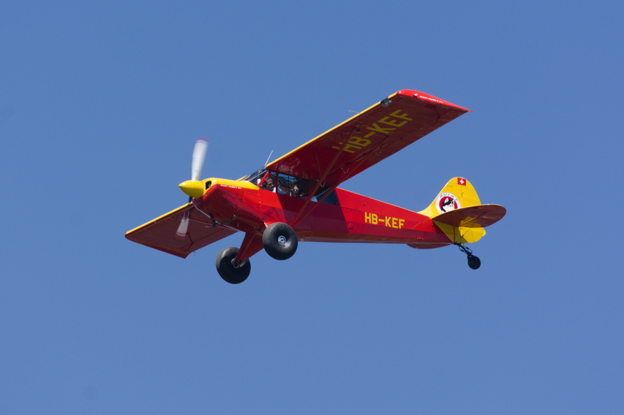 Avion