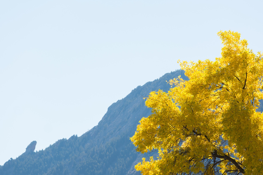 Couleurs d'automne