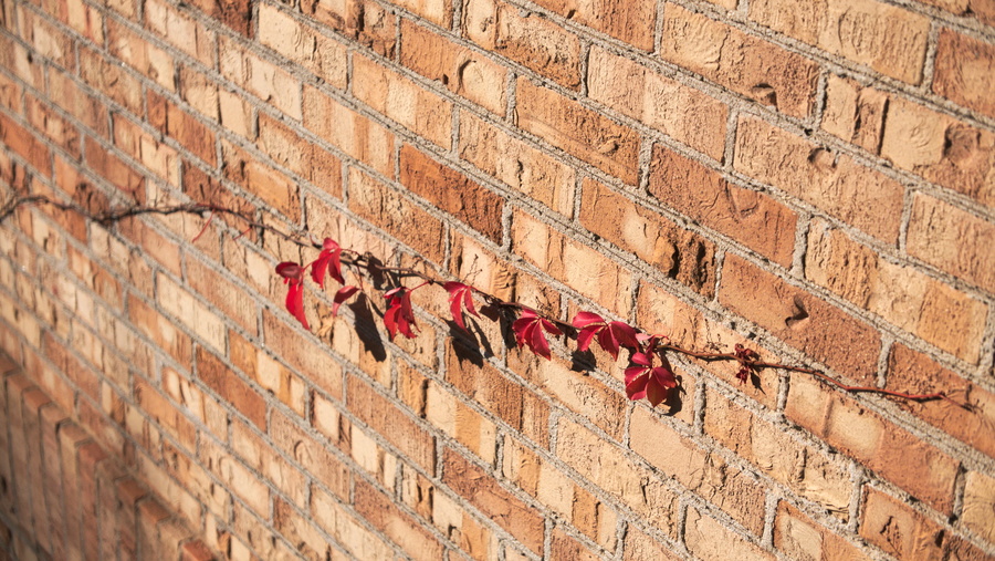 Couleurs d'automne