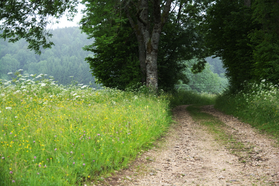 Chemin