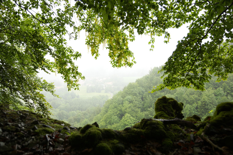 Erreur de parcours