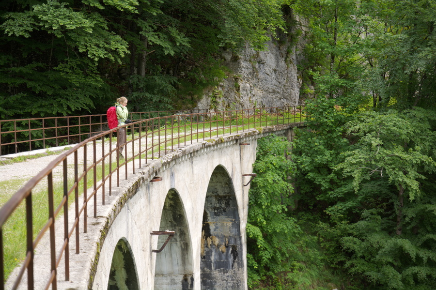 Pont