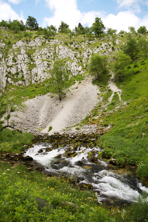 Source de la Saine