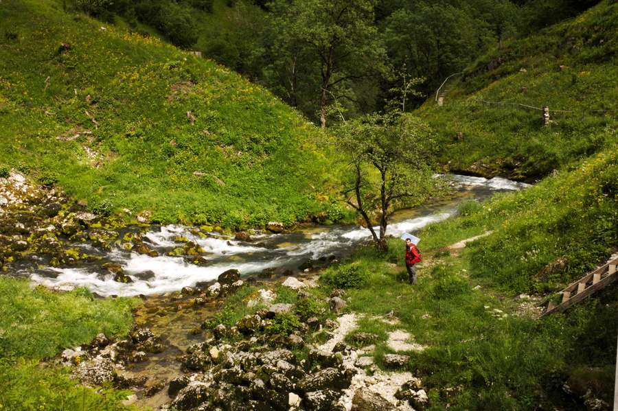 Source de la Saine