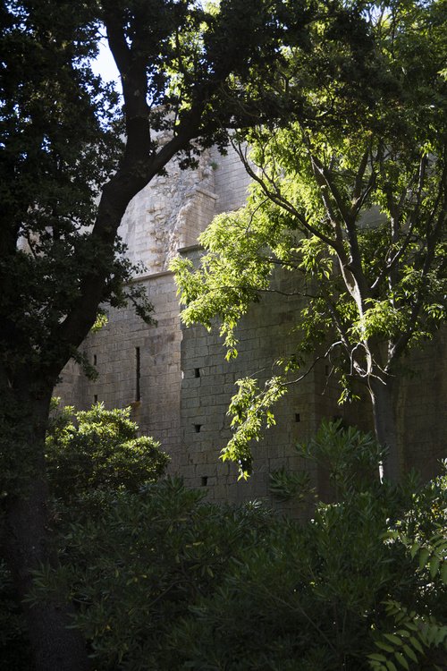 Cathédrale de Maguelone