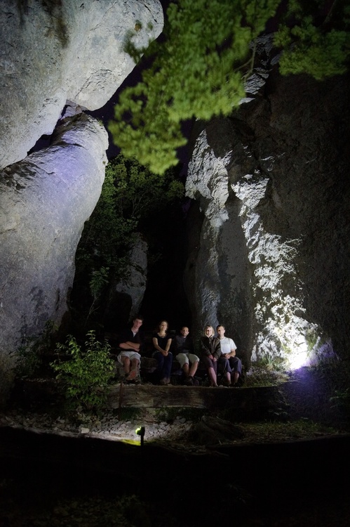 Les vaillants