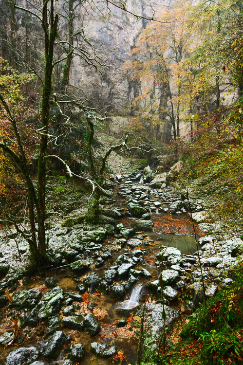 Bief Sarazin