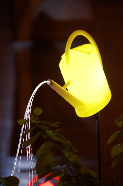 Arrosoirs à lumière